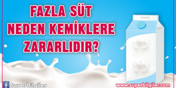 Fazla süt neden kemiklere zararlidir?