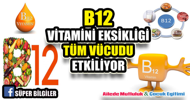 B12 Vitamini eksikliği tüm vücudu etkiliyo 1