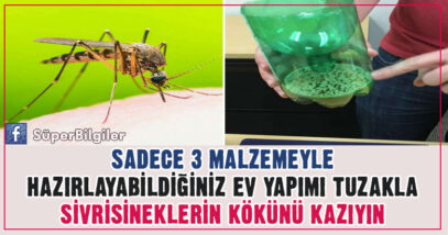 Sadece 3 Malzemeyle Hazırlayabildiğiniz Ev Yapımı Tuzakla Sivrisineklerin Kökünü Kazıyın 6