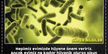 Dünya Sağlık Örgütü’nden önemli uyarı! Evdeki bakteriler kanser nedeni 2