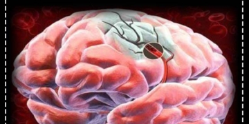 Beyne Giden Kan Akışını Arttırmanın 5 Yolu 2