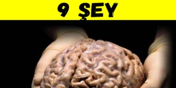 Beyninize Zarar Veren 9 Şey 2