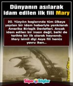 Dünyanın asılarak idam edilen ilk fili Mary 1