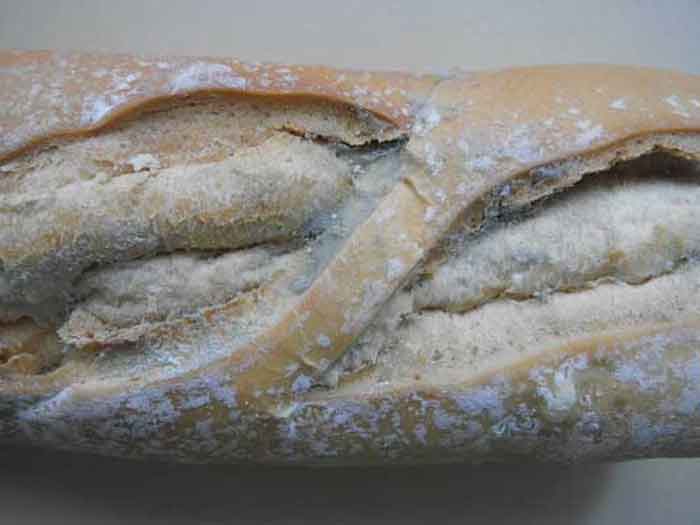 Kuflu Ekmek Yemek Zararlimi