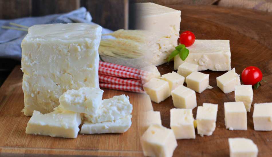 ezine peyniri nedir ve nasil anlasilir ezine peyniri tarifi tbn5wmxp.jpg
