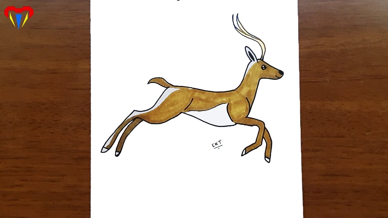 geyik çizimi - kolay hayvan çizimleri - kolay çizimler, basit, sevimli, güzel,  tatlı,  resim