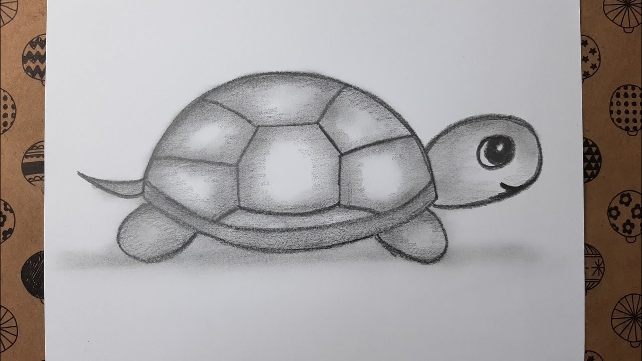 Adım Adım Basit Kaplumbağa Çizimi, Çizim Hobimiz Hayvan Çizimleri, Easy Turtle Drawing Step by Step