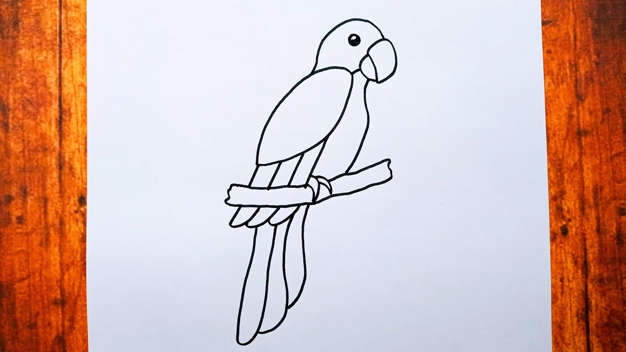 Adım Adım Kolay Kuş Çizimi, Kolay Yoldan Kuş Resmi Nasıl Çizilir, Çizim Saati Art Kolay Çizimler