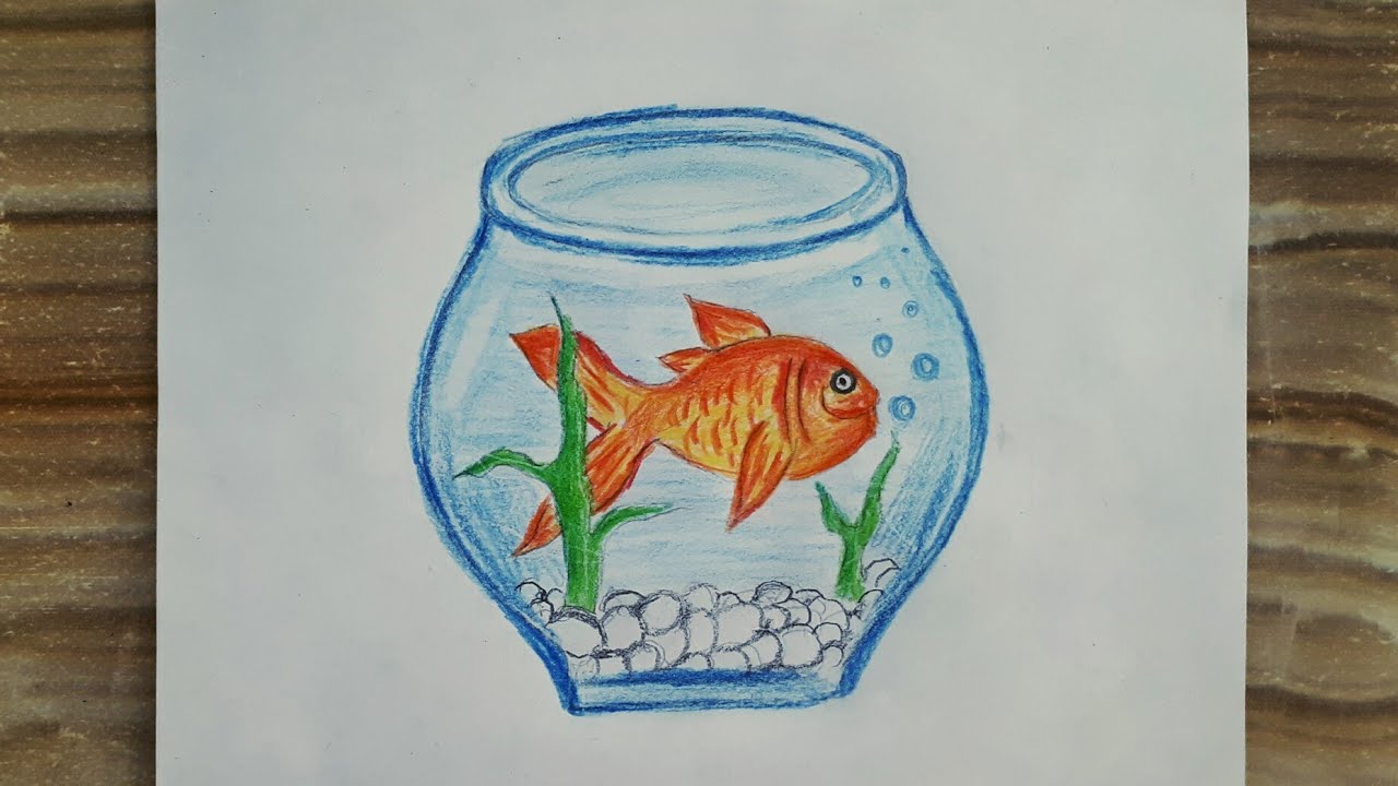 Akvaryum çizimi / Fanus çizimi / Balık çizimi / Aquarium drawing / Fish tank drawing / Fish drawing