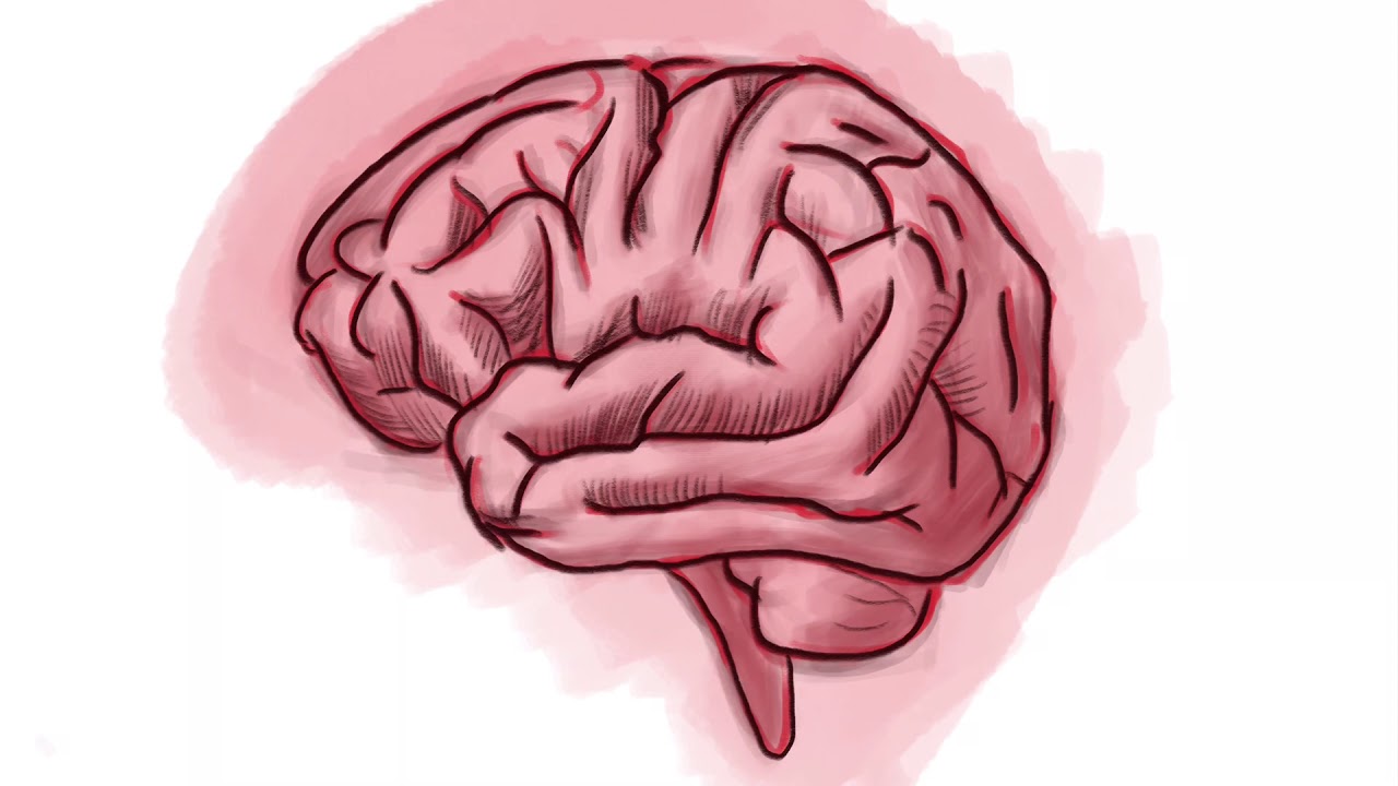 Beyin resmi nasıl çizilir - How to draw brain
