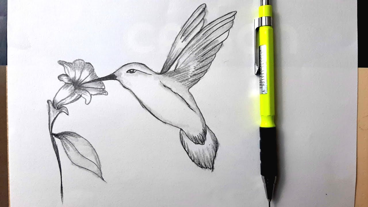 Çiçek Ve Kuş Çizimi - Flower And Bird Drawing