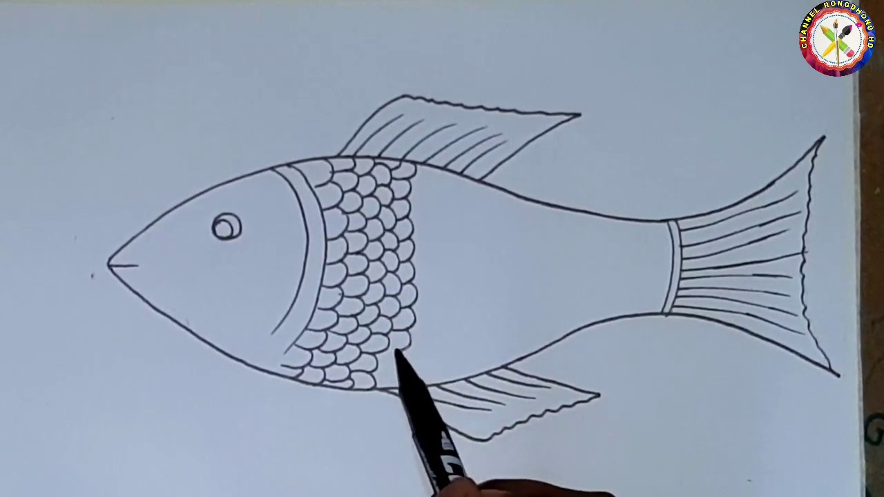 Fish sketch drawing | fish drawing | goldfish drawing step by step