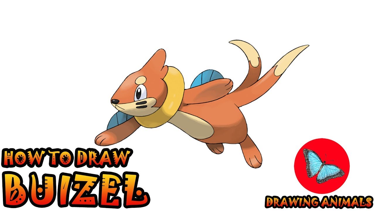 How To Draw Buizel Pokemon | Coloring and Drawing For Kids