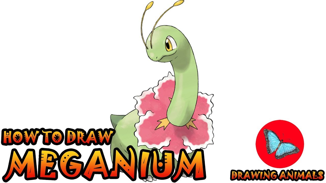How To Draw Meganium Pokemon | Drawing Animals