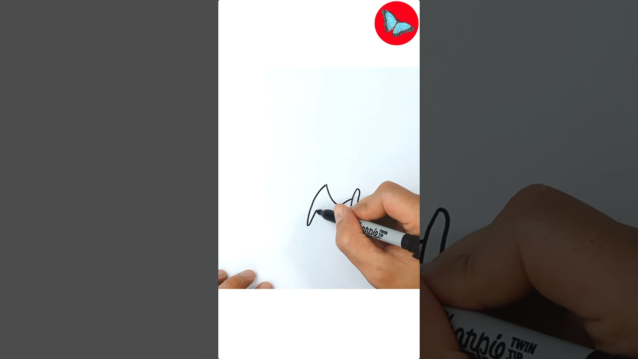 How To Draw  Pokemon - Nincada short