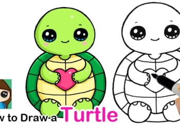 How to Draw a Baby Turtle Easy | Squishmallows