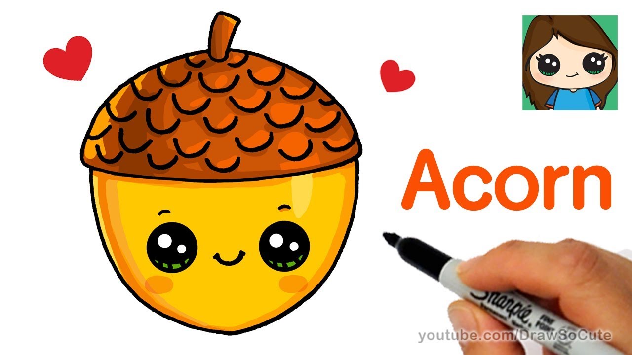 How to Draw a Cute Acorn Easy