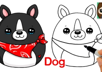 How to Draw a Dog Easy Squishmallows