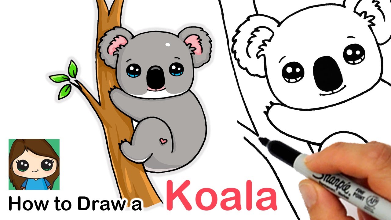 How to Draw a Koala