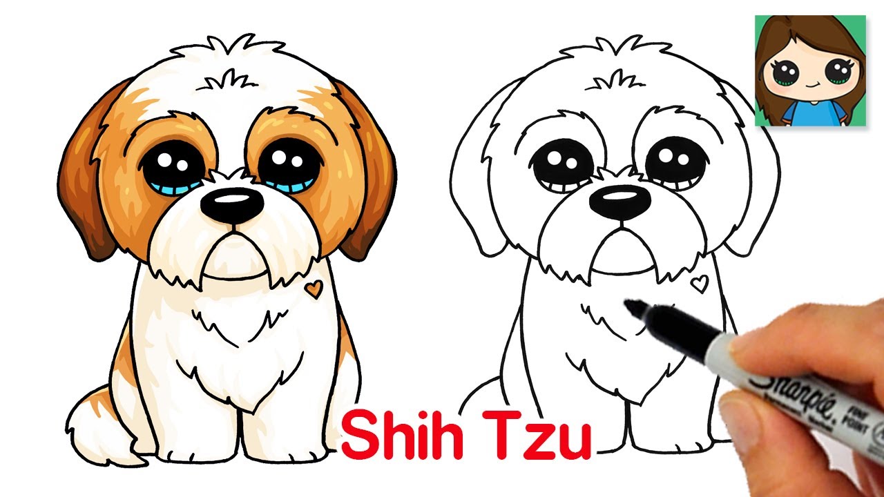 How to Draw a Shih Tzu Puppy Dog Easy