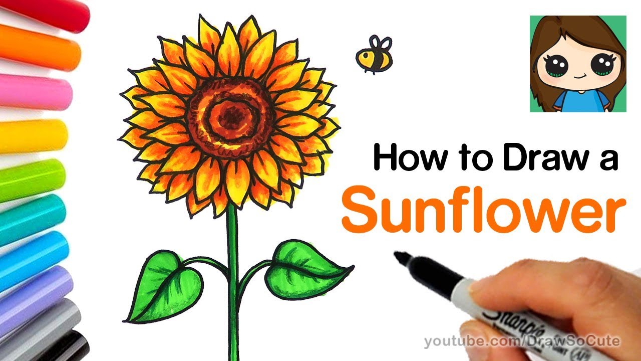 How to Draw a Sunflower Easy | Realistic