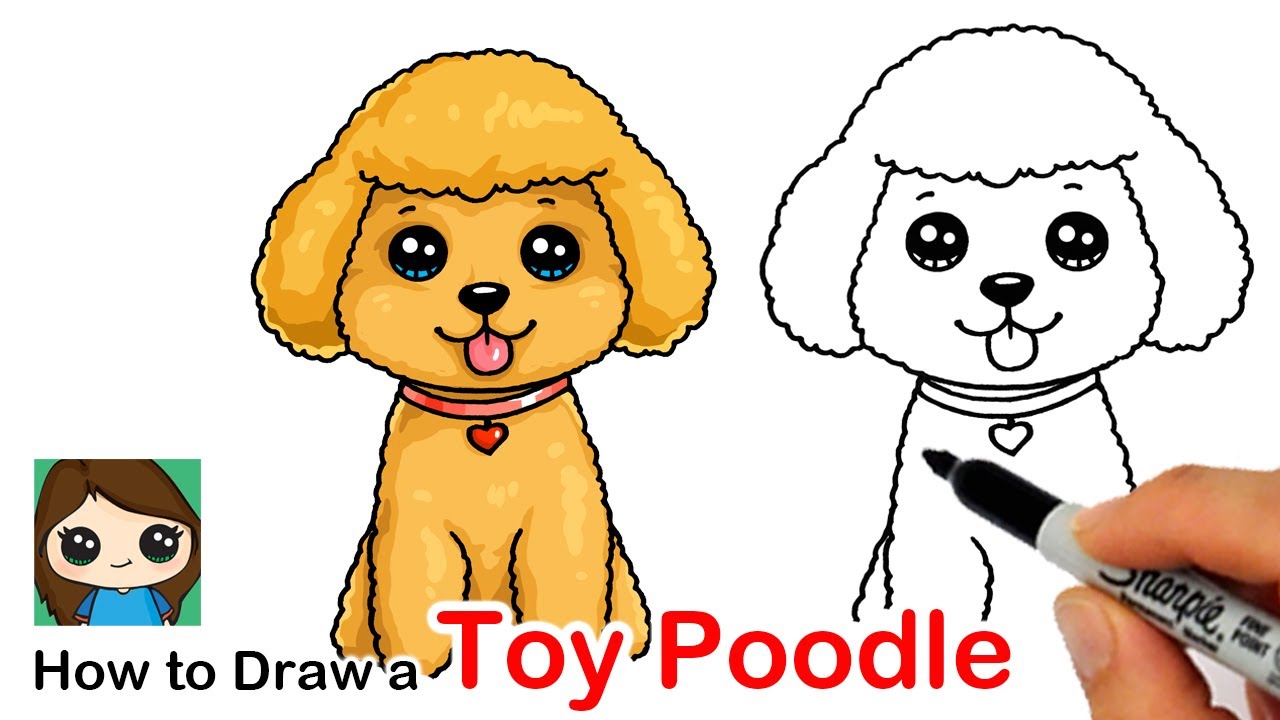 How to Draw a Toy Poodle Puppy Dog Easy