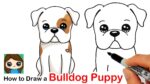How to Draw an American Bulldog Puppy Easy