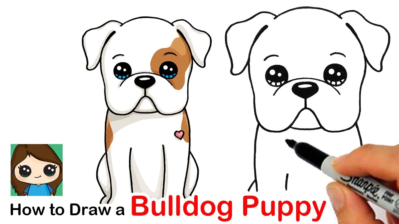 How to Draw an American Bulldog Puppy Easy