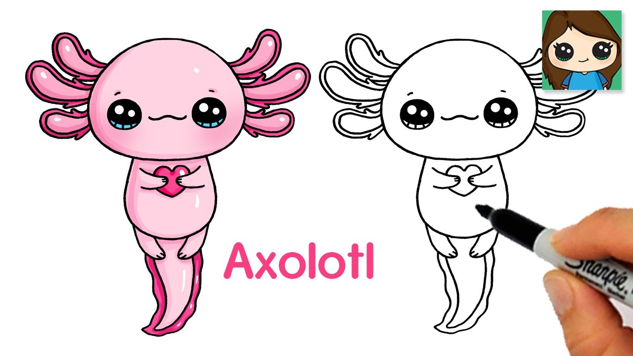 How to Draw an Axolotl Salamander Easy Cute