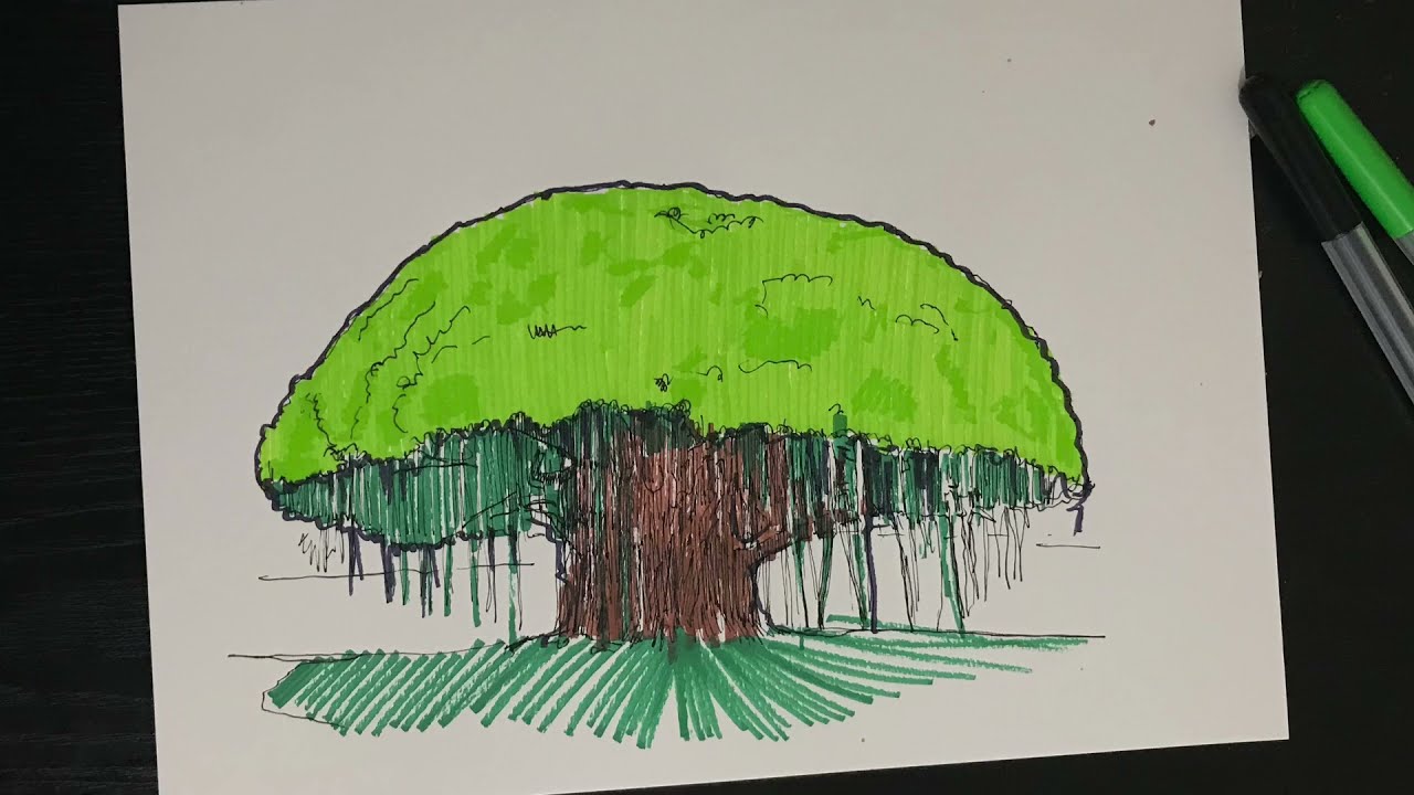 How to draw Banyan tree | Banyan ağacı nasıl çizilir