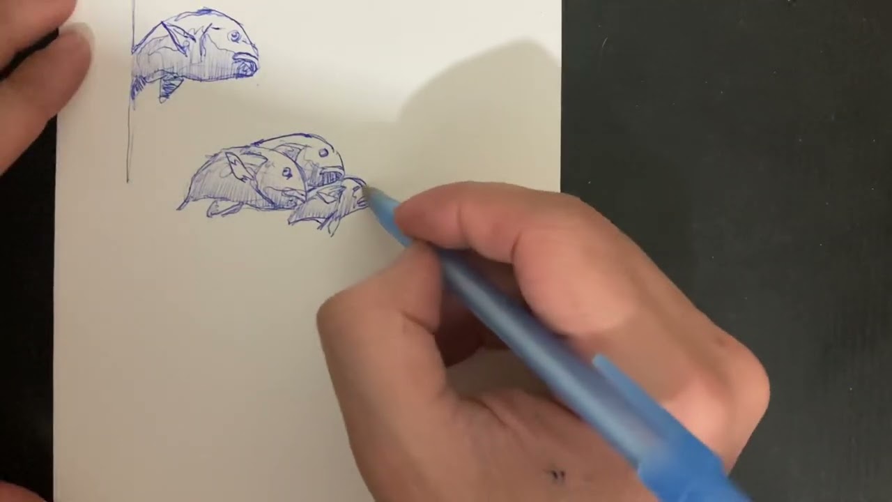 How to draw Fishes