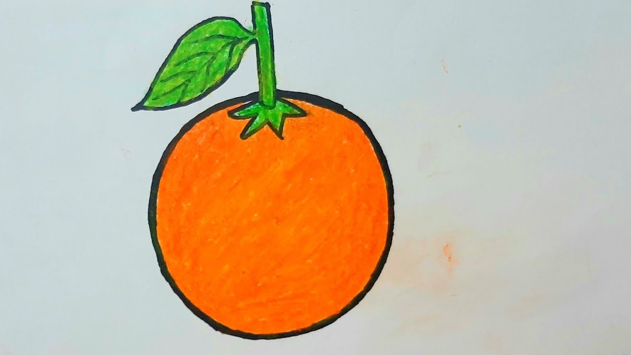 How to draw a beautiful orange step by step easy drawing