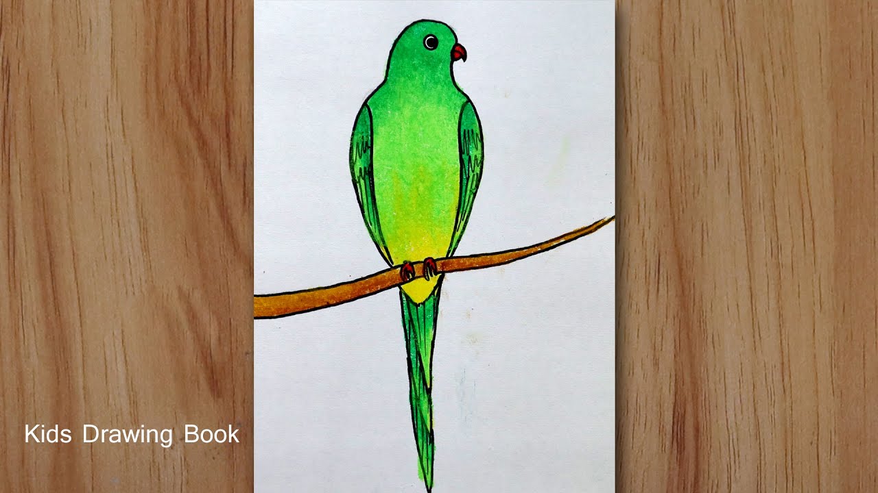 How to draw a parrot with oil pastels, Parrot bird drawing for beginners