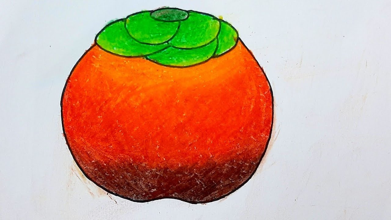 How to draw a plum fruit step by step