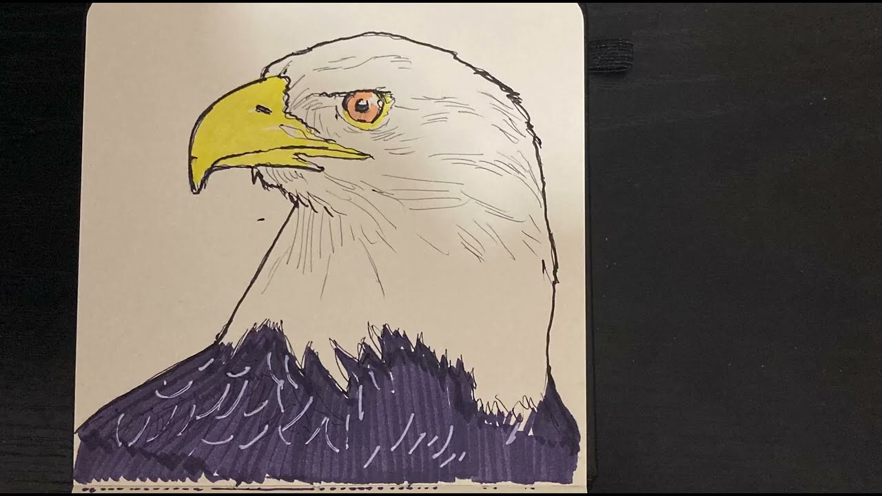 How to draw an eagle  | Eagle drawing step by step