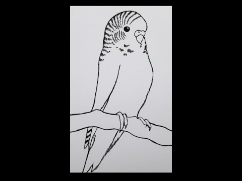 How to draw bird #shorts