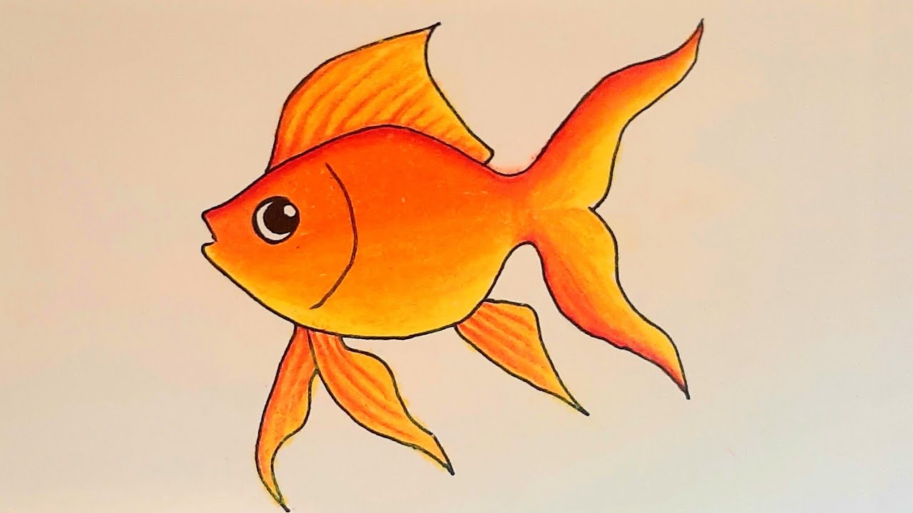 How to draw fish step by step how to draw a fish || how to draw goldfish step by step