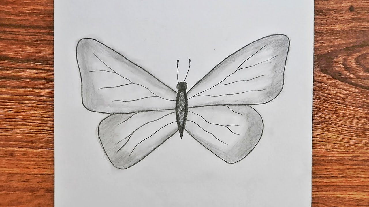 KELEBEK ÇİZİMİ / Kolay Karakalem Kelebek Çizimi  / Butterfly Drawing