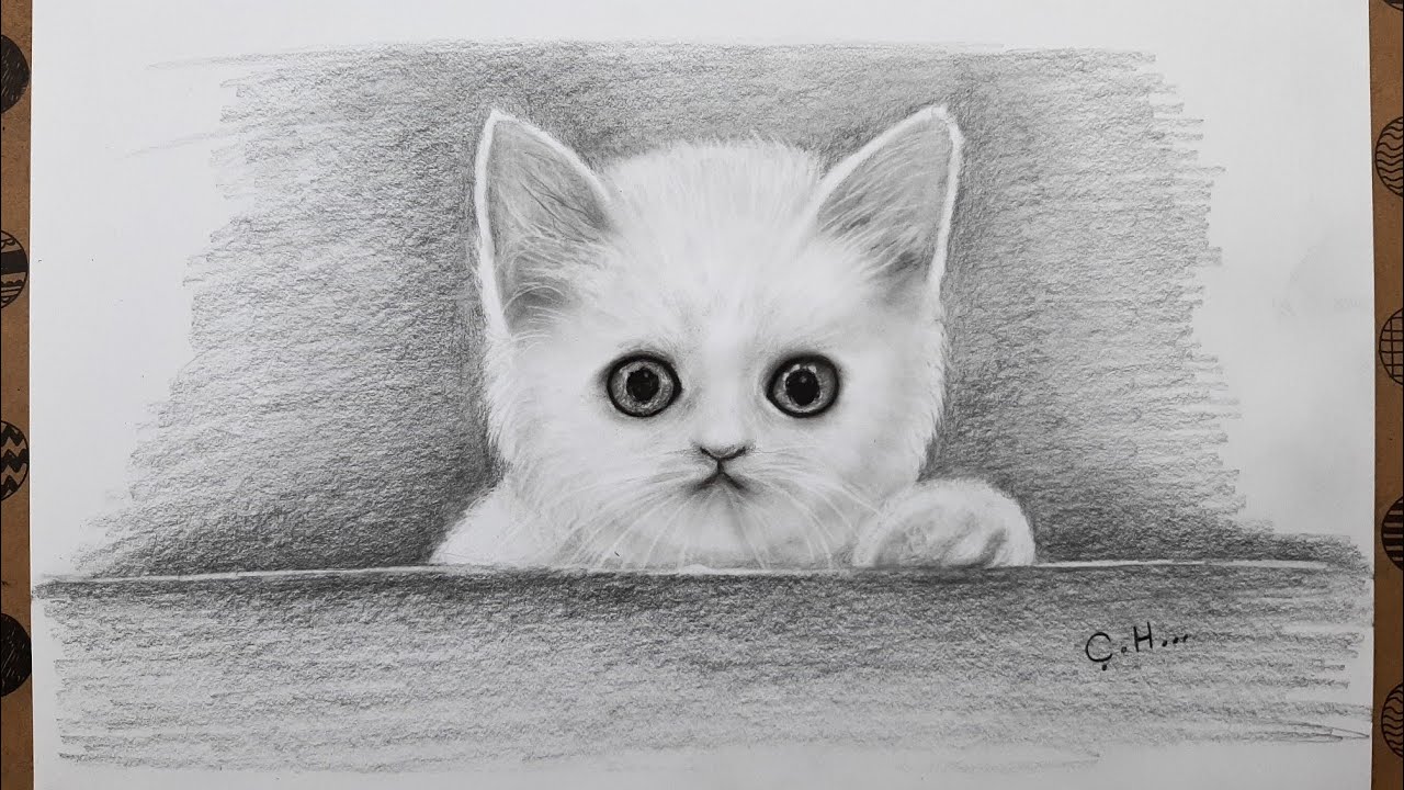 Karakalem Kedi Resmi Adım Adım Nasıl Çizilir, Çizim Hobimiz Hayvan Çizimleri, Easy Cat Drawing