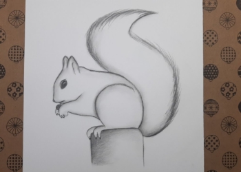 Karakalem Sincap Çizimi, Çizim Hobimiz Resimleri - Squirrel Drawing