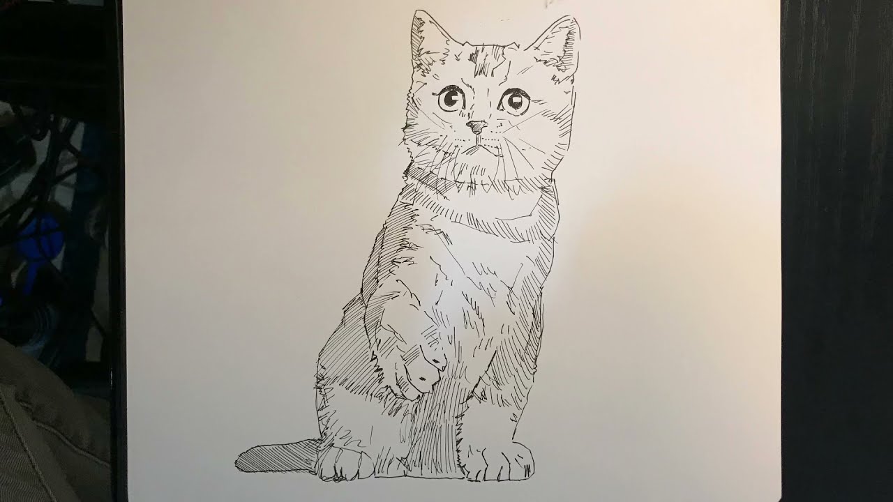 Kedi nasıl çizilir  | Kedi resmi nasıl çizilir