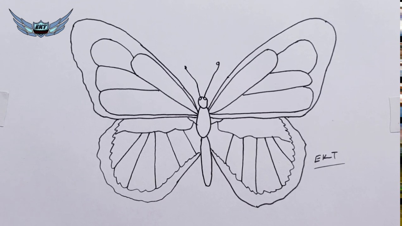 Kelebek çizimi - Kelebek nasıl çizilir - Kolay Kelebek çizimi