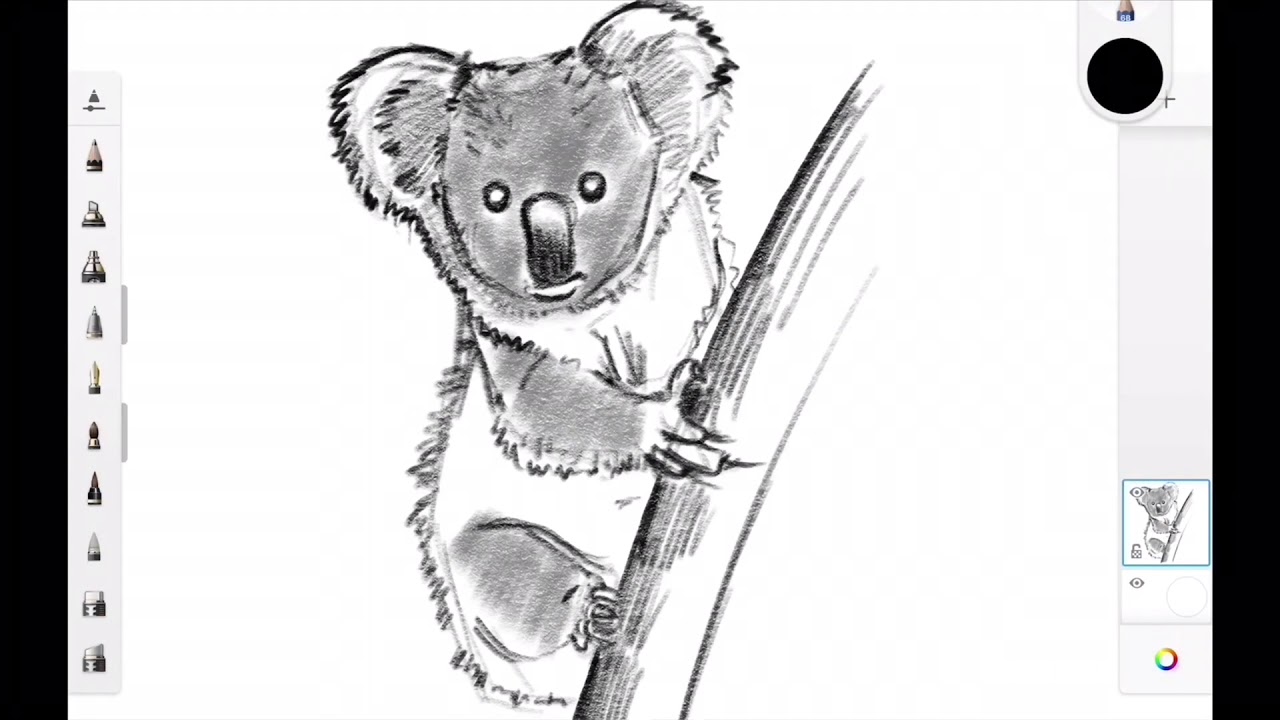 Koala Resmi Nasıl Çizilir  Koala çizimi - How to draw a koala