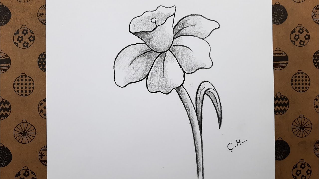 Kolay Adım Adım Çiçek Resmi Nasıl Çizilir, Çizim Hobimiz Kolay Karakalem Resimleri, Easy Drawings