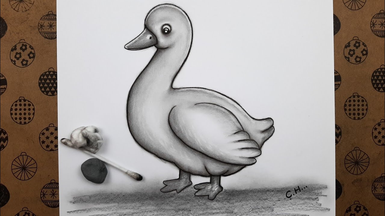 Kolay Hayvan Çizimleri Sevimli Bir Ördek Nasıl Çizilir Kolay Karakalem Çizimler