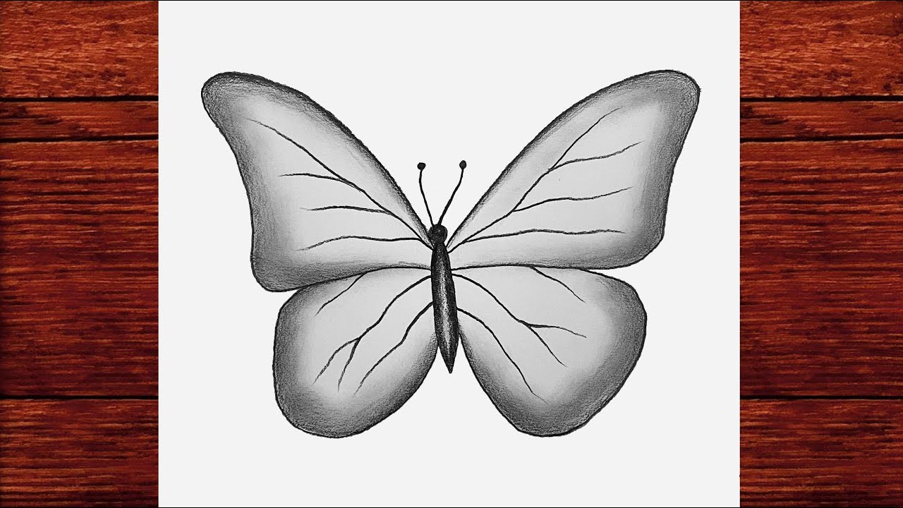 Kolay Kelebek Nasıl Çizilir [ Kolay Kelebek Çizimi ] - Kolay Karakalem Çizimleri - Çizim Mektebi