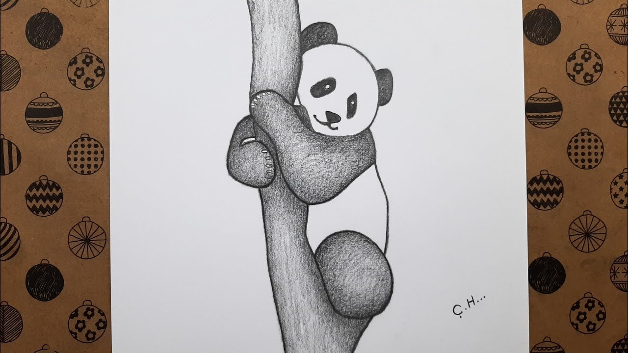 Kolay Panda Çizimi Adım Adım Nasıl Çizilir, Karakalem Kolay Çizimleri, Çizim  Hobimiz Resimleri