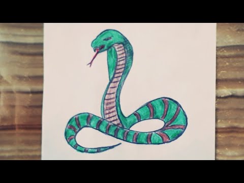Kolay hayvan çizimi / How to draw a snake / Snake drawing / Yılan nasıl çizilir / Yılan çizimi