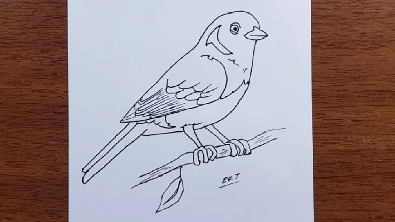 Kuş nasıl çizilir ? Kızıl karınlı dağ tanager kuşu çizimi - kolay resim çizme