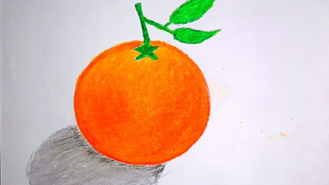 Orange drawing easy, orange drawing colour |  how to draw a realistic orange step by step